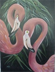 Flamingoes