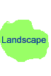 Landscape Gallery