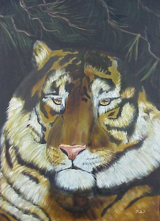 Tiger Hideaway